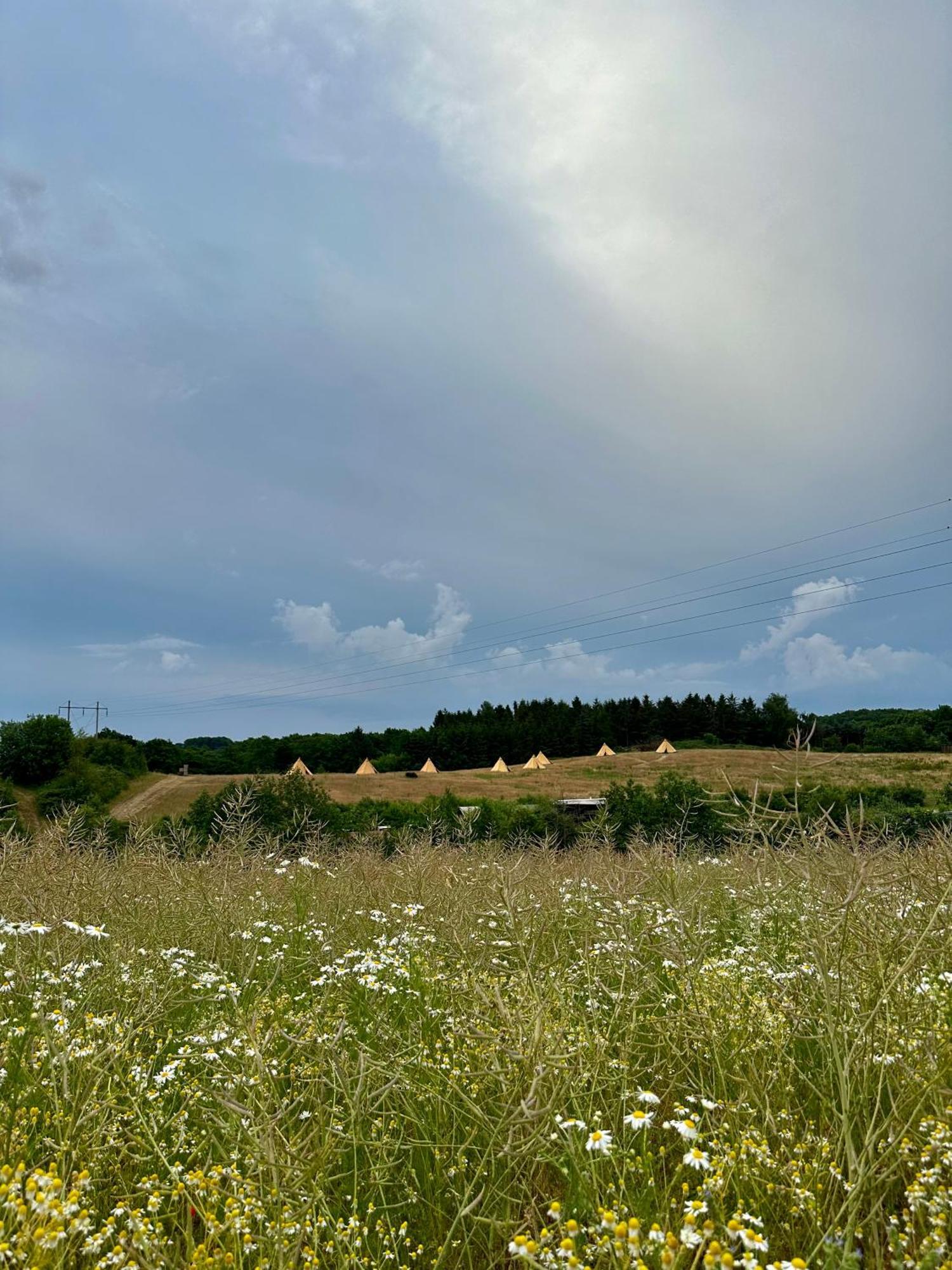Krusmolle Glamping Hotel Aabenraa község Kültér fotó